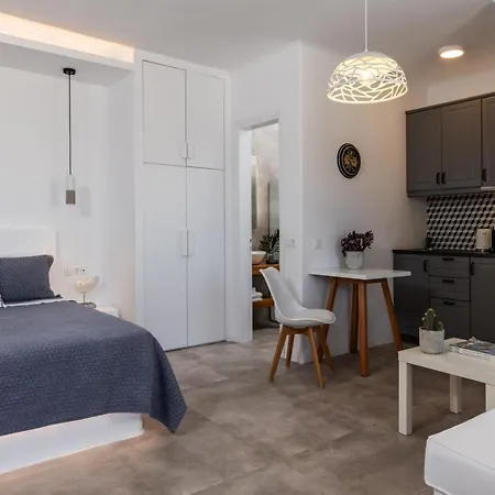 Aegean View Mykonos דירה Agios Ioannis Diakoftis